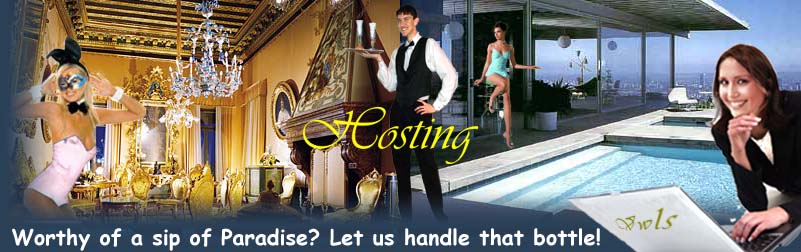 Venice water limousine service Hosting Services